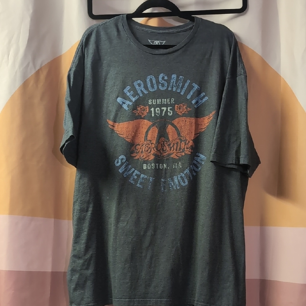Men's Gray Graphic T-Shirt Aerosmith 3XL
